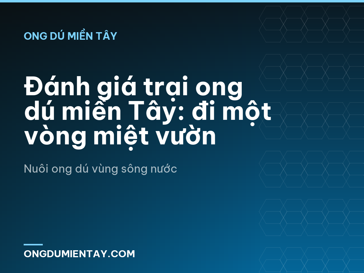 Đánh giá trại ong dú miền Tây: đi một vòng miệt vườn