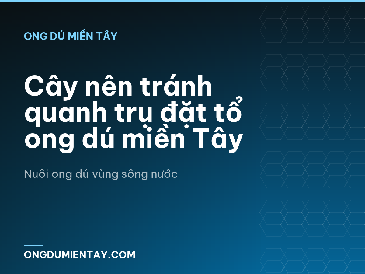 Cây nên tránh quanh trụ đặt tổ ong dú miền Tây