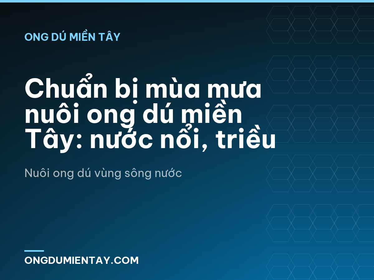 Chuẩn bị mùa mưa nuôi ong dú miền Tây: nước nổi, triều