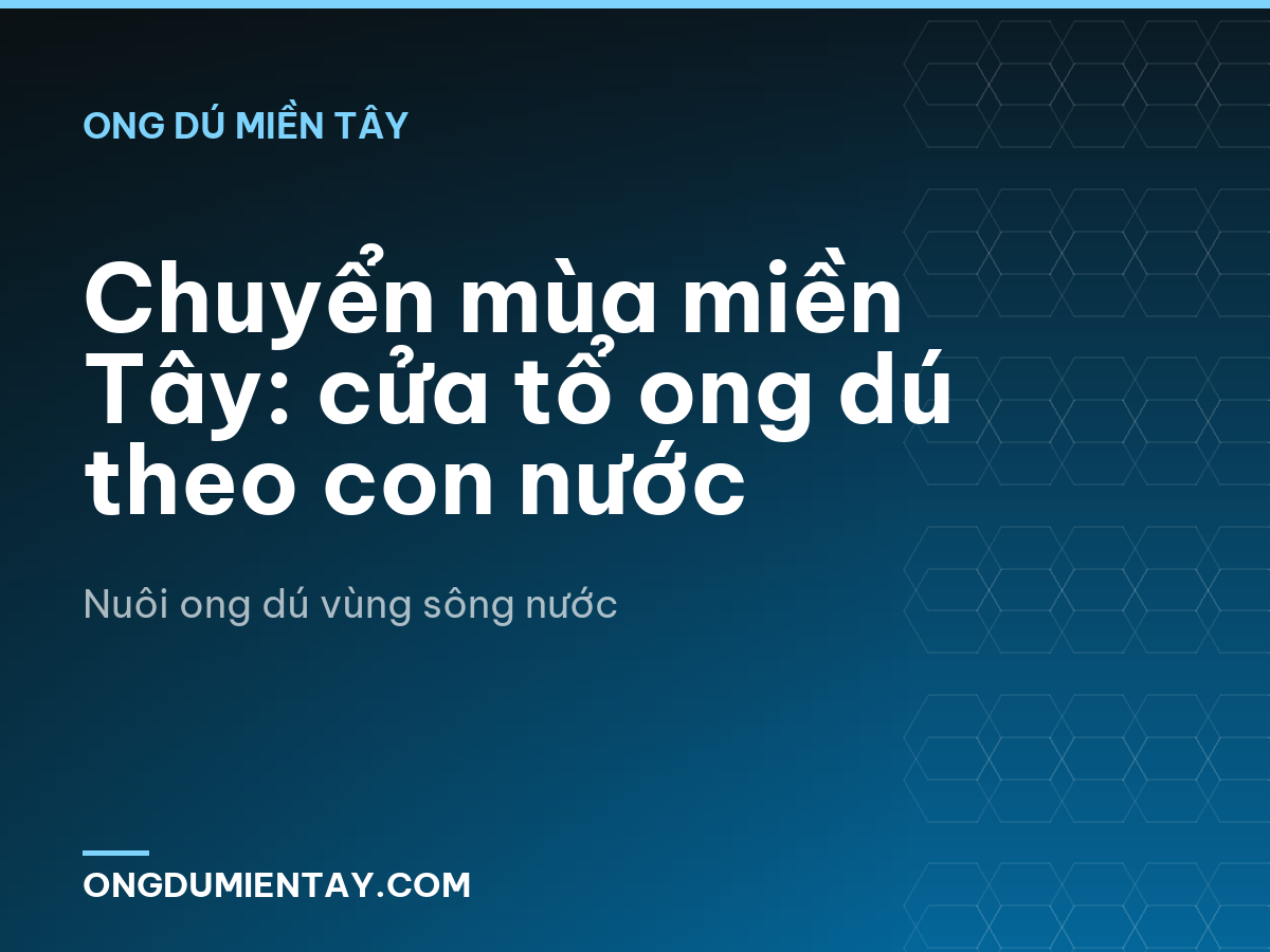Chuyển mùa miền Tây: cửa tổ ong dú theo con nước