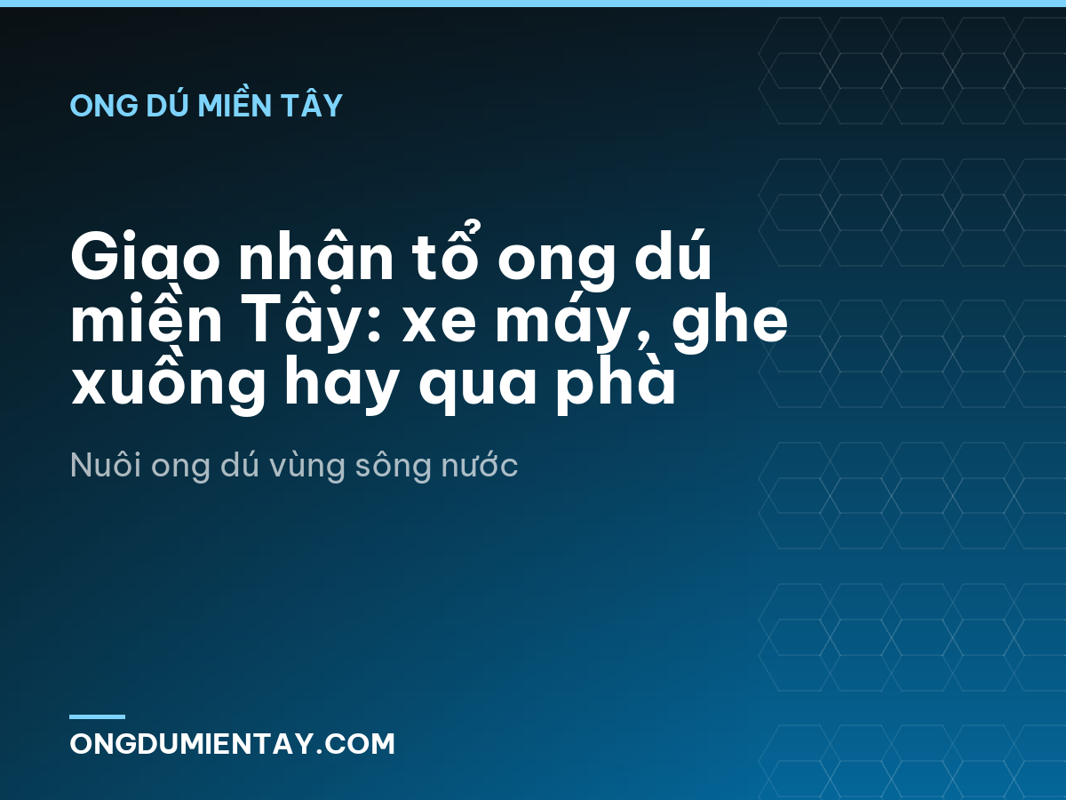 Giao nhận tổ ong dú miền Tây: xe máy, ghe xuồng hay qua phà