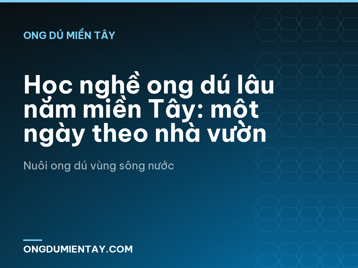 Học nghề ong dú lâu năm miền Tây: một ngày theo nhà vườn