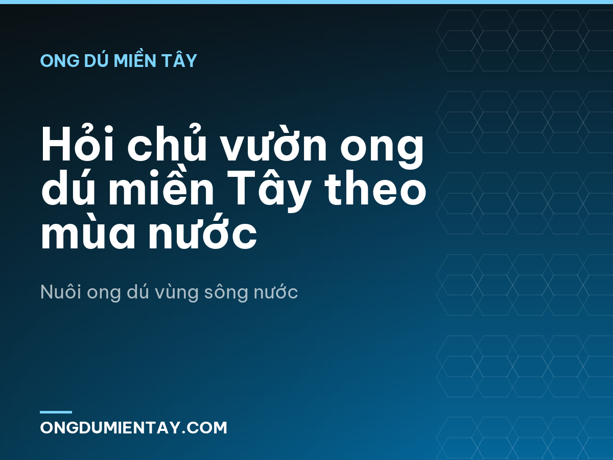 Hỏi chủ vườn ong dú miền Tây theo mùa nước