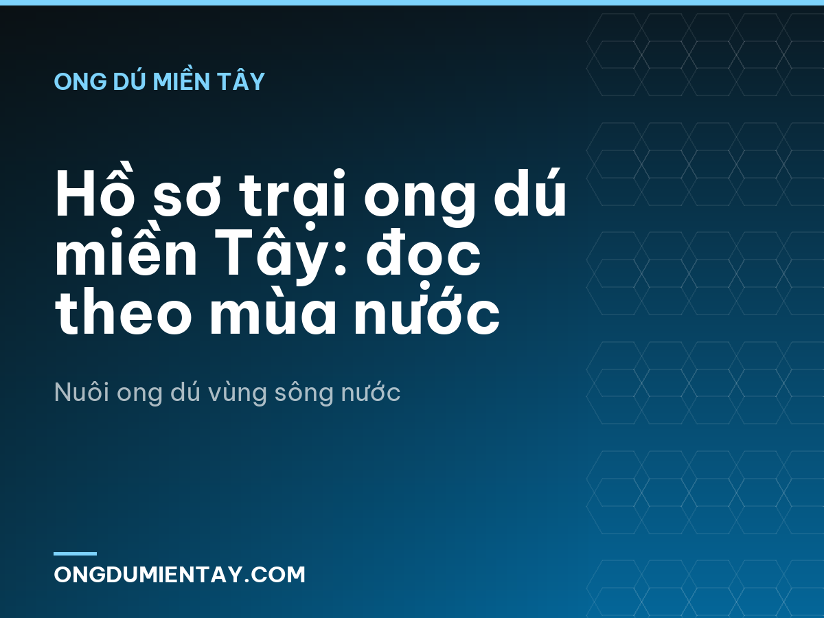 Hồ sơ trại ong dú miền Tây: đọc theo mùa nước