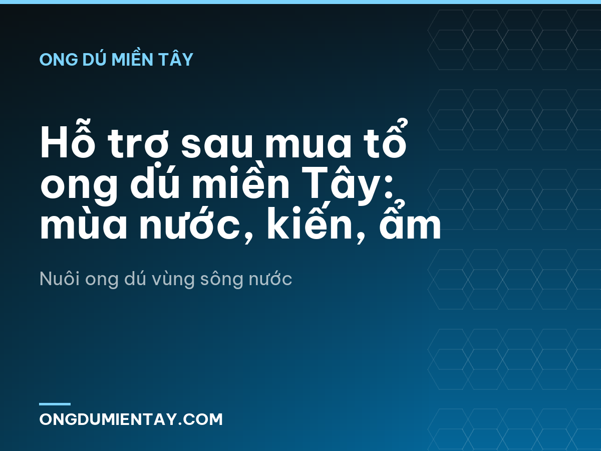 Hỗ trợ sau mua tổ ong dú miền Tây: mùa nước, kiến, ẩm