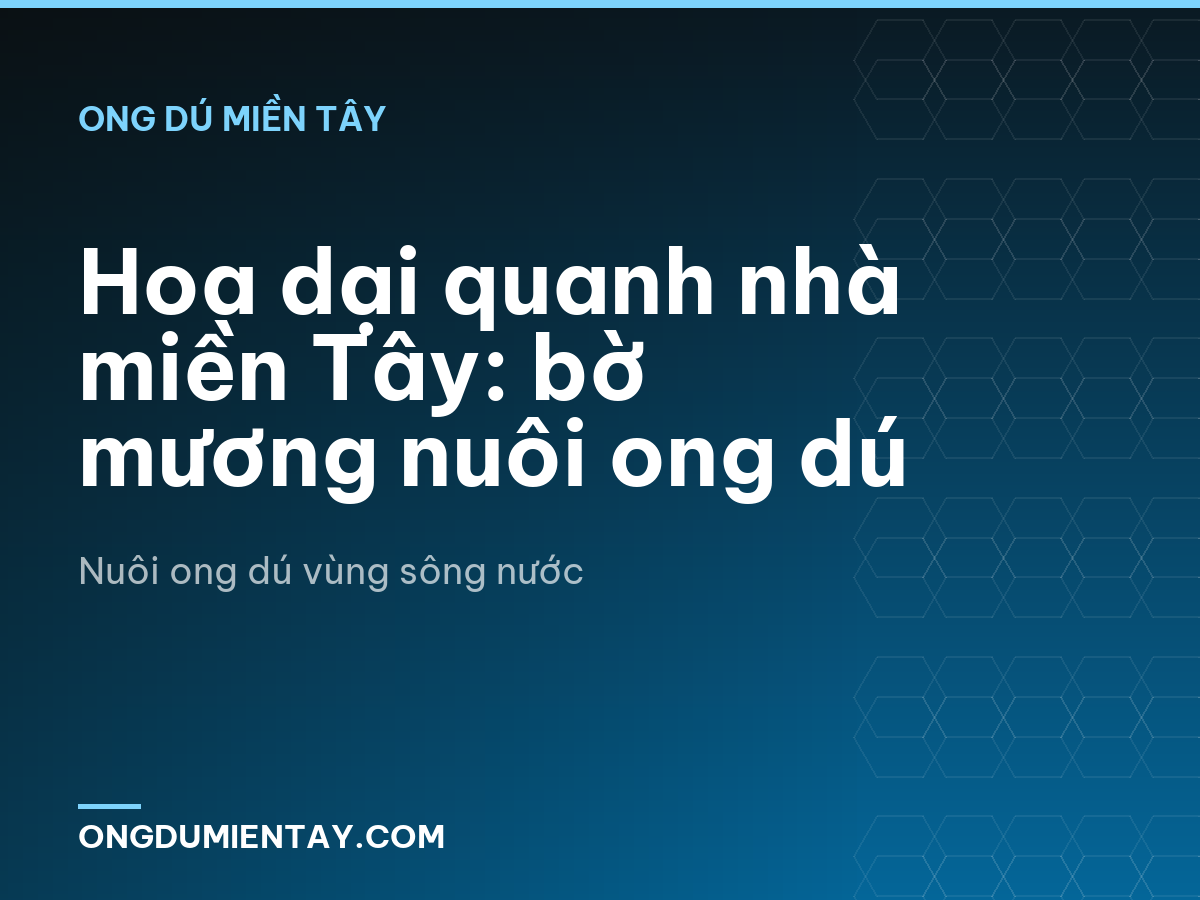 Hoa dại quanh nhà miền Tây: bờ mương nuôi ong dú