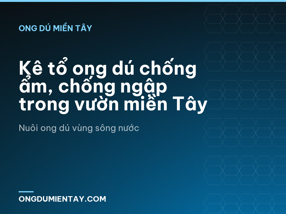 Kê tổ ong dú chống ẩm, chống ngập trong vườn miền Tây