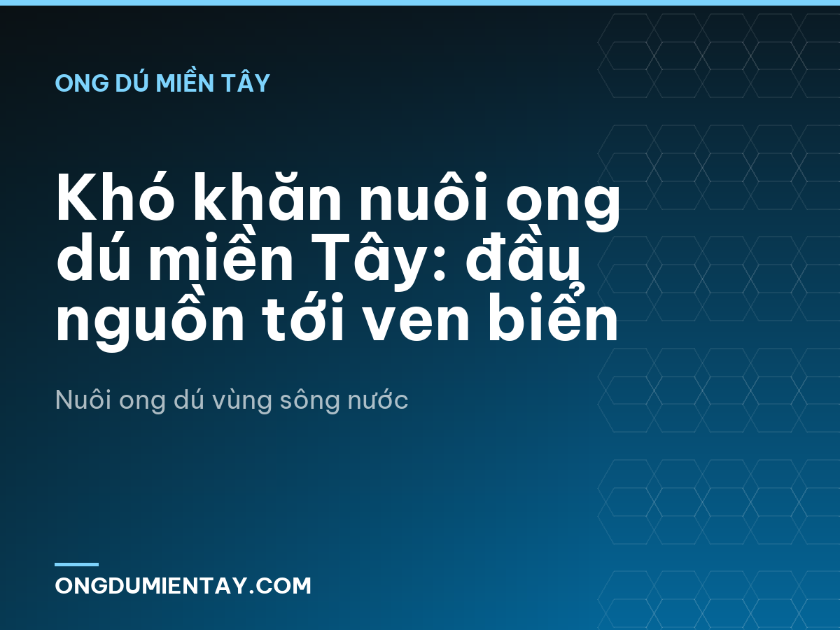 Khó khăn nuôi ong dú miền Tây: đầu nguồn tới ven biển