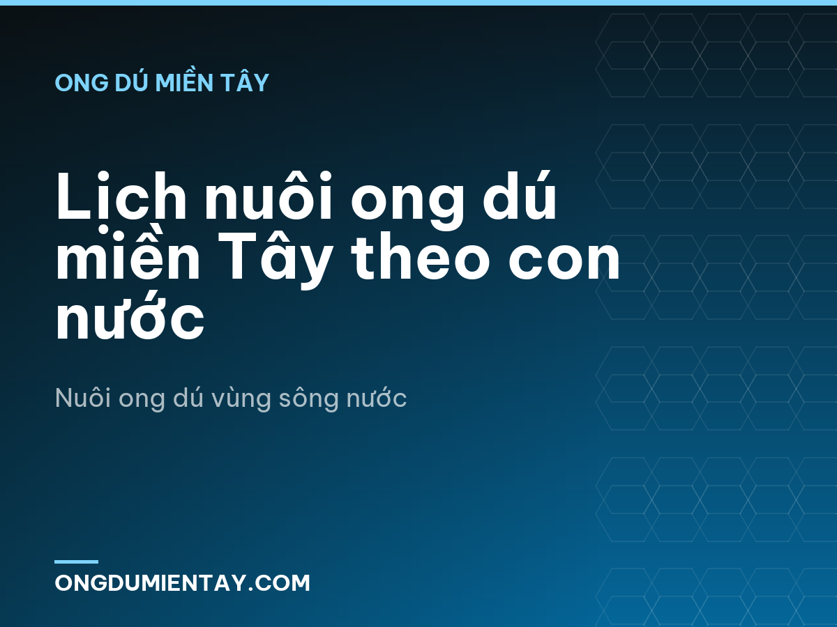 Lịch nuôi ong dú miền Tây theo con nước