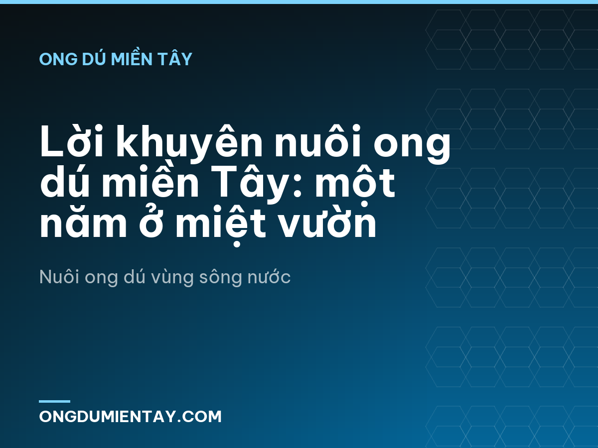 Lời khuyên nuôi ong dú miền Tây: một năm ở miệt vườn