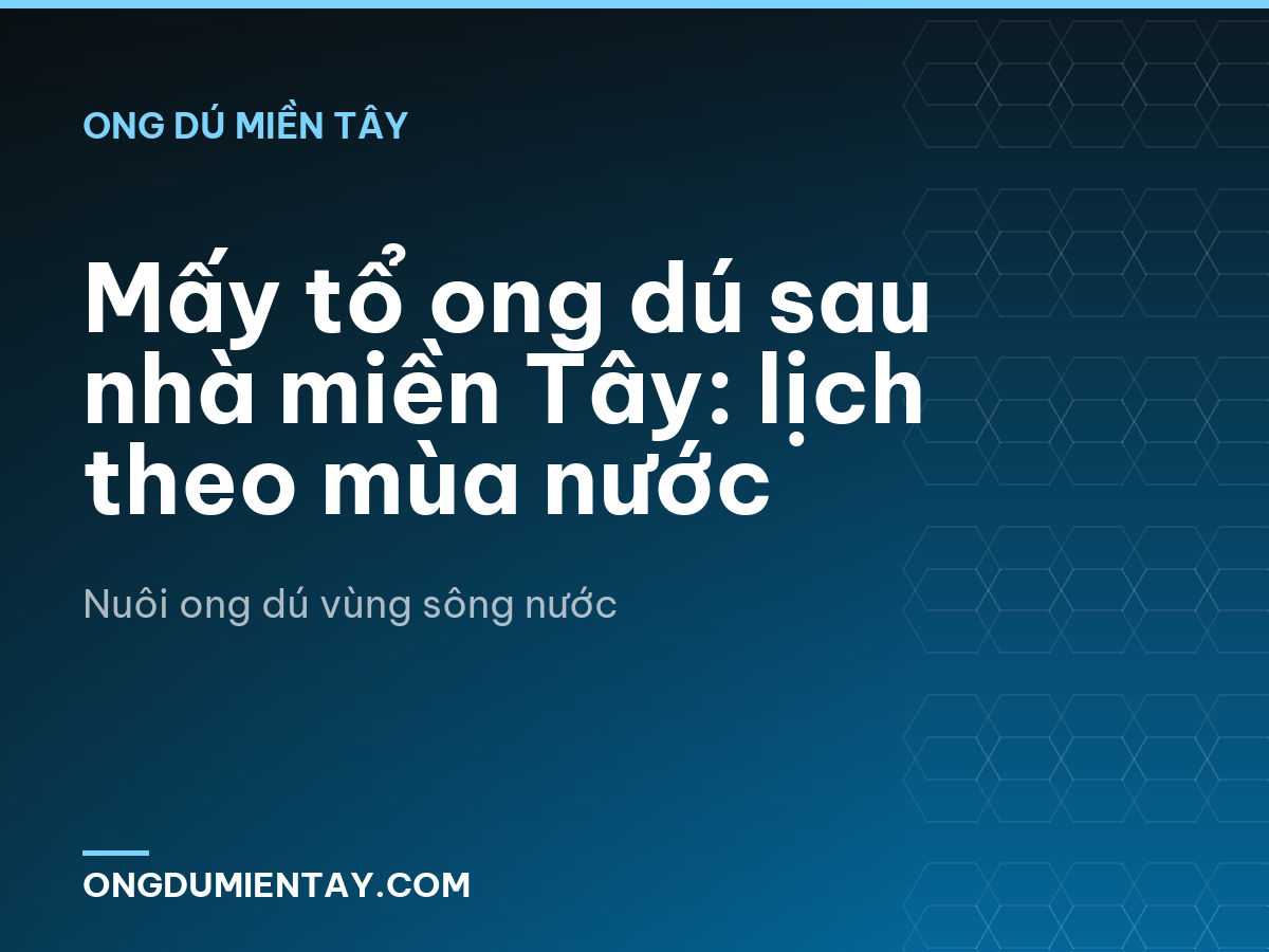 Mấy tổ ong dú sau nhà miền Tây: lịch theo mùa nước