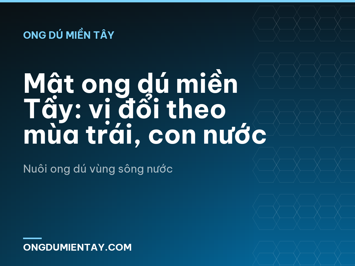 Mật ong dú miền Tây: vị đổi theo mùa trái, con nước