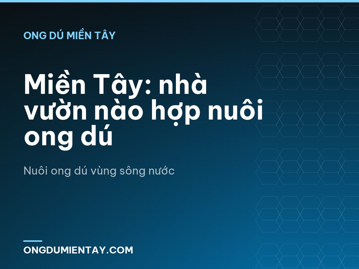 Miền Tây: nhà vườn nào hợp nuôi ong dú