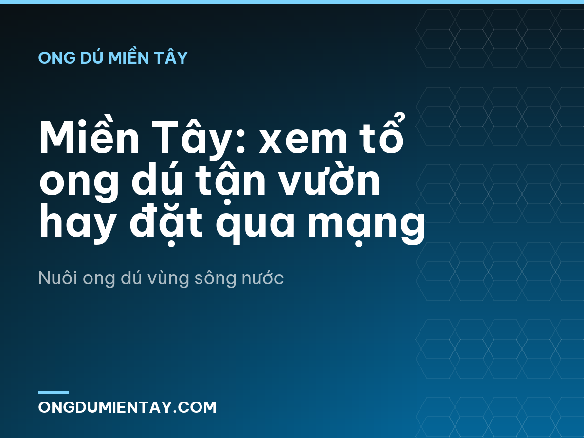 Miền Tây: xem tổ ong dú tận vườn hay đặt qua mạng