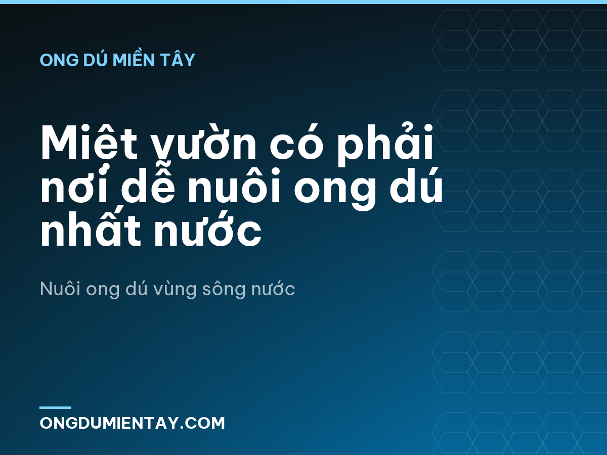 Miệt vườn có phải nơi dễ nuôi ong dú nhất nước