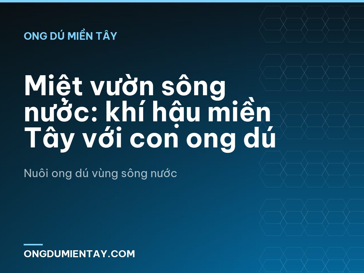 Miệt vườn sông nước: khí hậu miền Tây với con ong dú