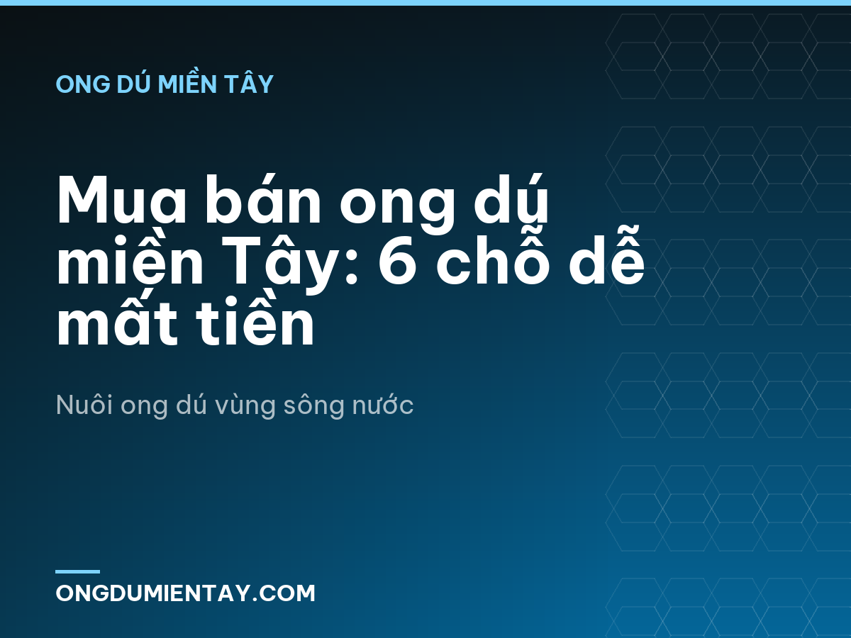 Mua bán ong dú miền Tây: 6 chỗ dễ mất tiền