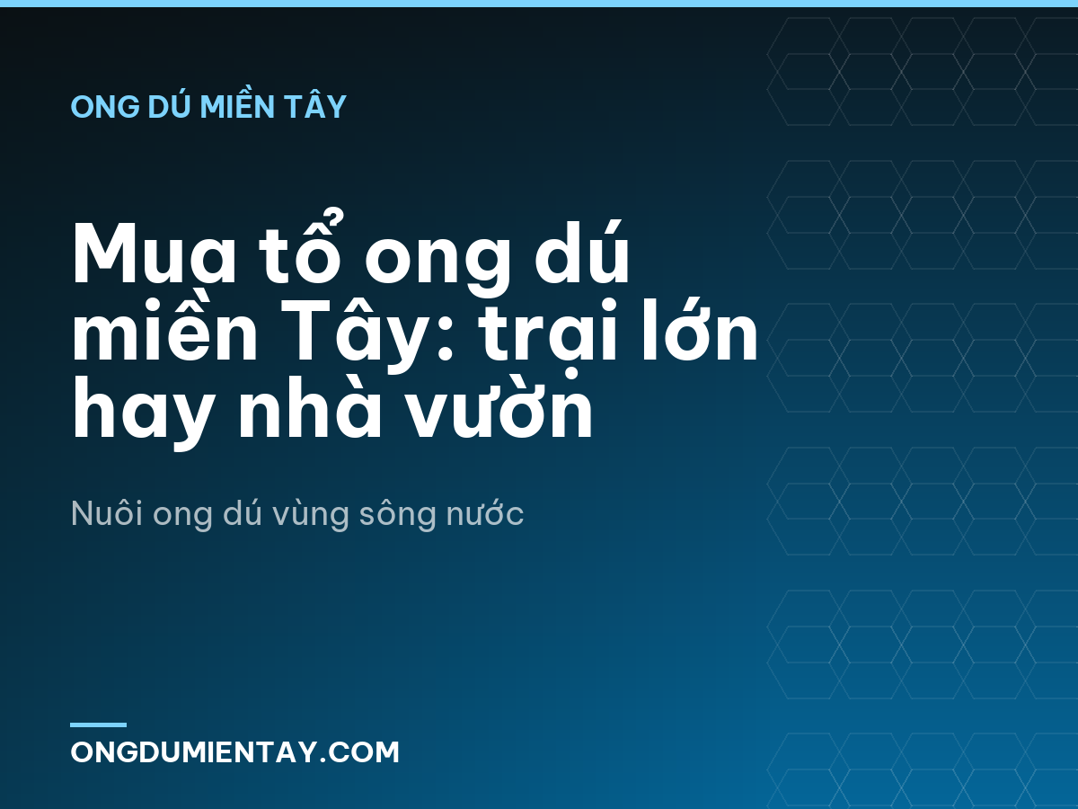 Mua tổ ong dú miền Tây: trại lớn hay nhà vườn