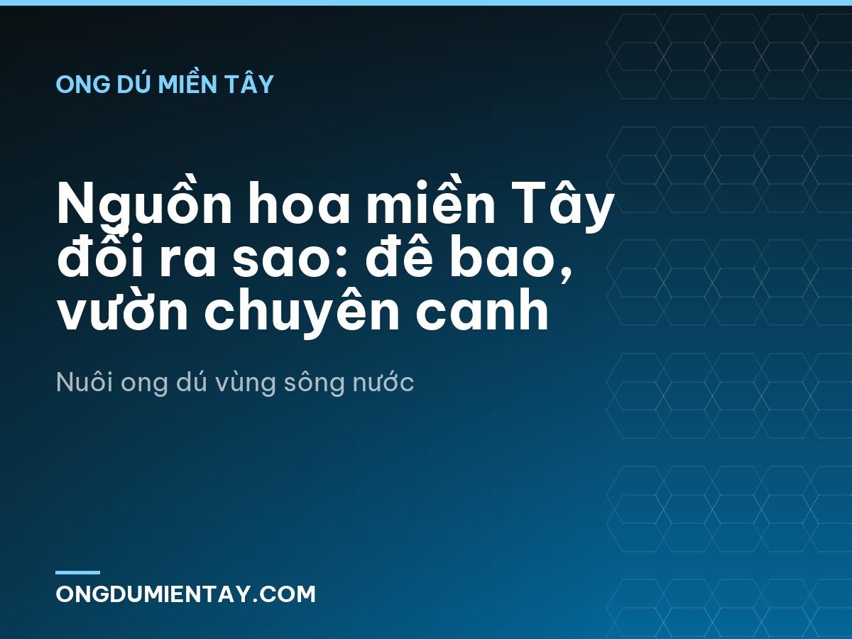 Nguồn hoa miền Tây đổi ra sao: đê bao, vườn chuyên canh