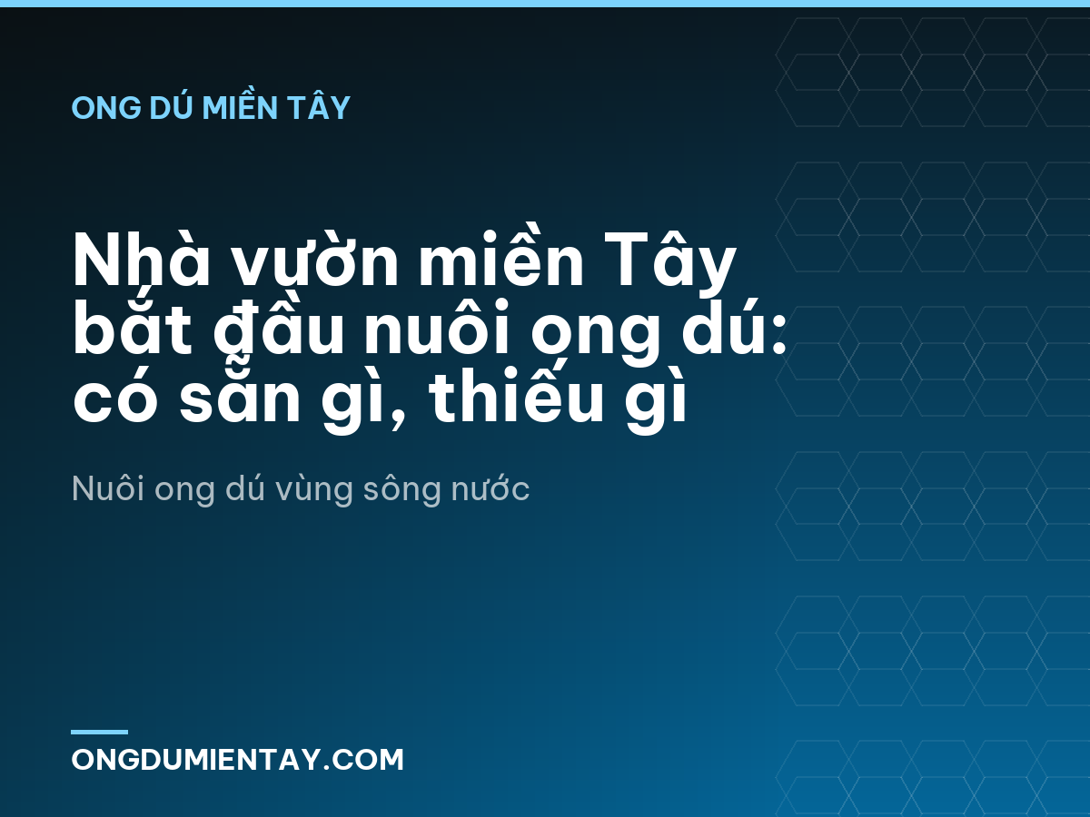 Nhà vườn miền Tây bắt đầu nuôi ong dú: có sẵn gì, thiếu gì