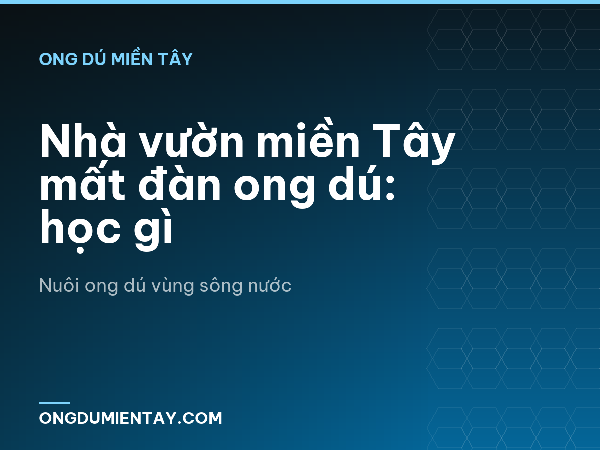 Nhà vườn miền Tây mất đàn ong dú: học gì