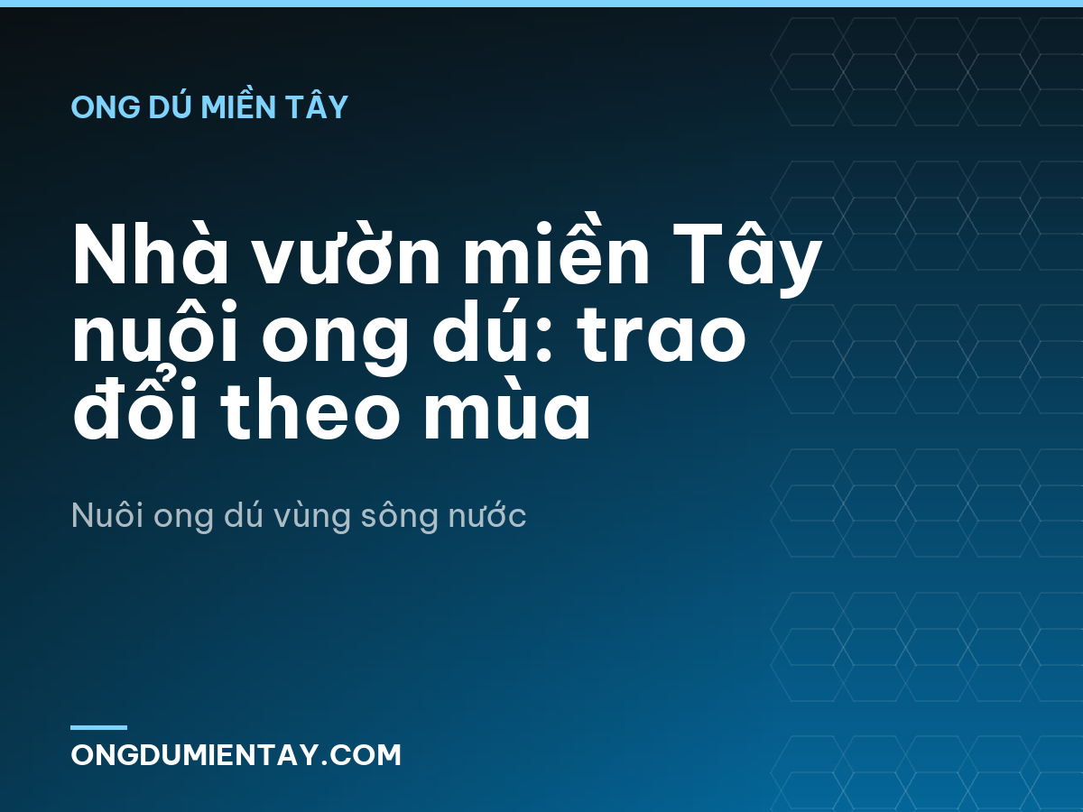 Nhà vườn miền Tây nuôi ong dú: trao đổi theo mùa