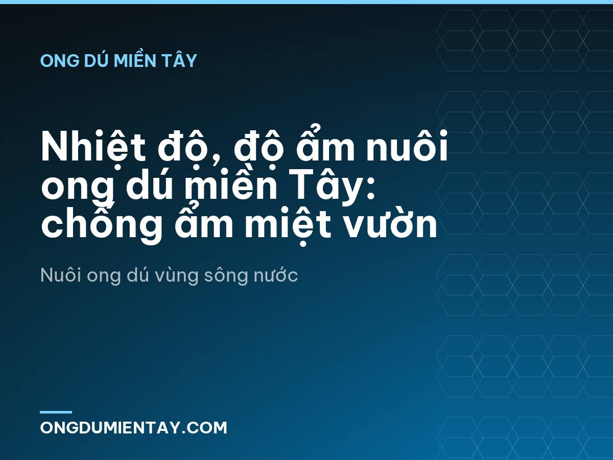 Nhiệt độ, độ ẩm nuôi ong dú miền Tây: chống ẩm miệt vườn