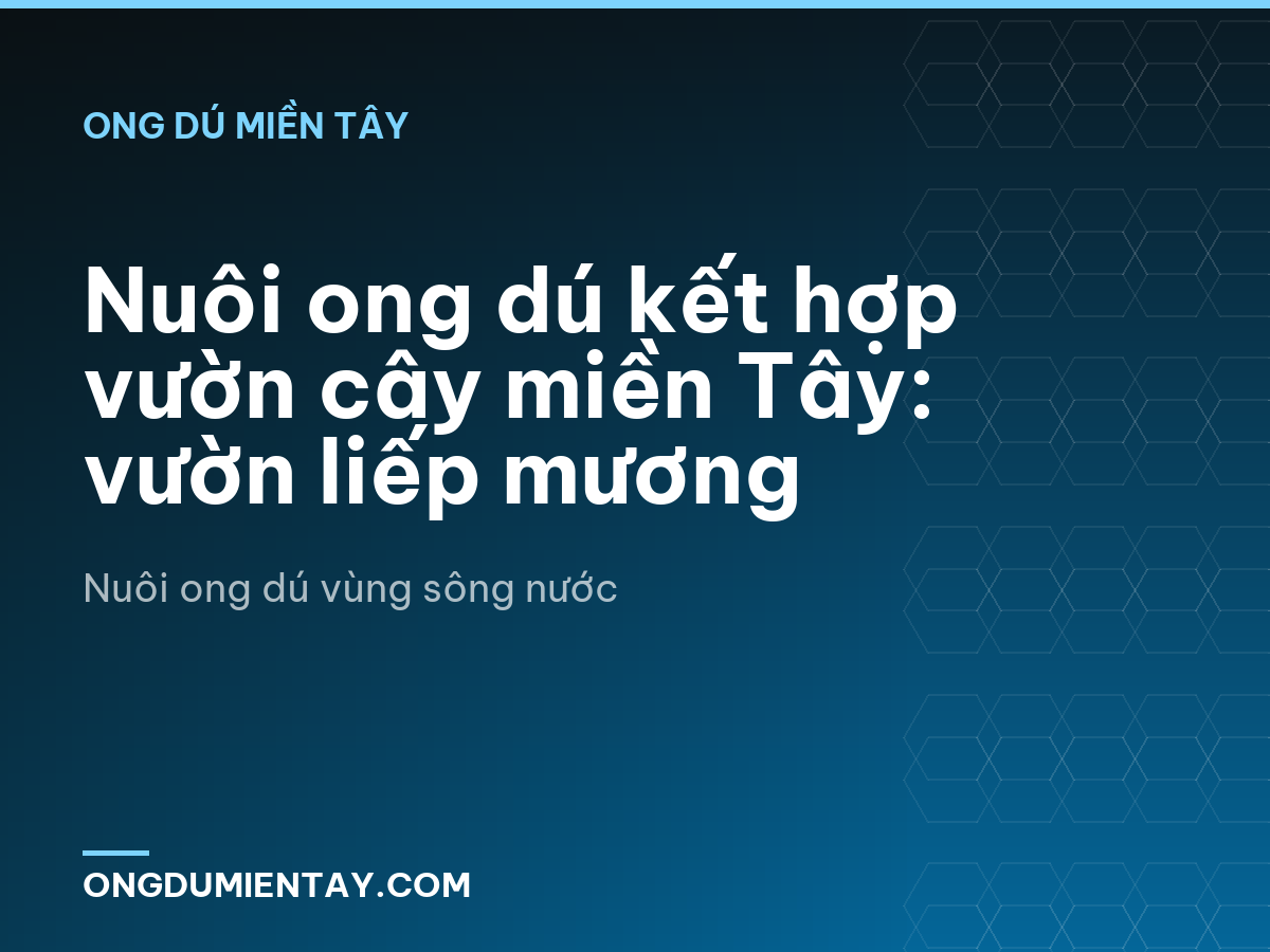 Nuôi ong dú kết hợp vườn cây miền Tây: vườn liếp mương
