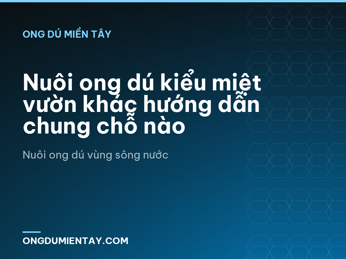 Nuôi ong dú kiểu miệt vườn khác hướng dẫn chung chỗ nào