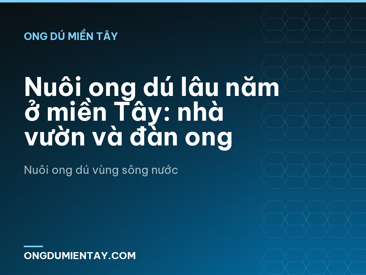 Nuôi ong dú lâu năm ở miền Tây: nhà vườn và đàn ong
