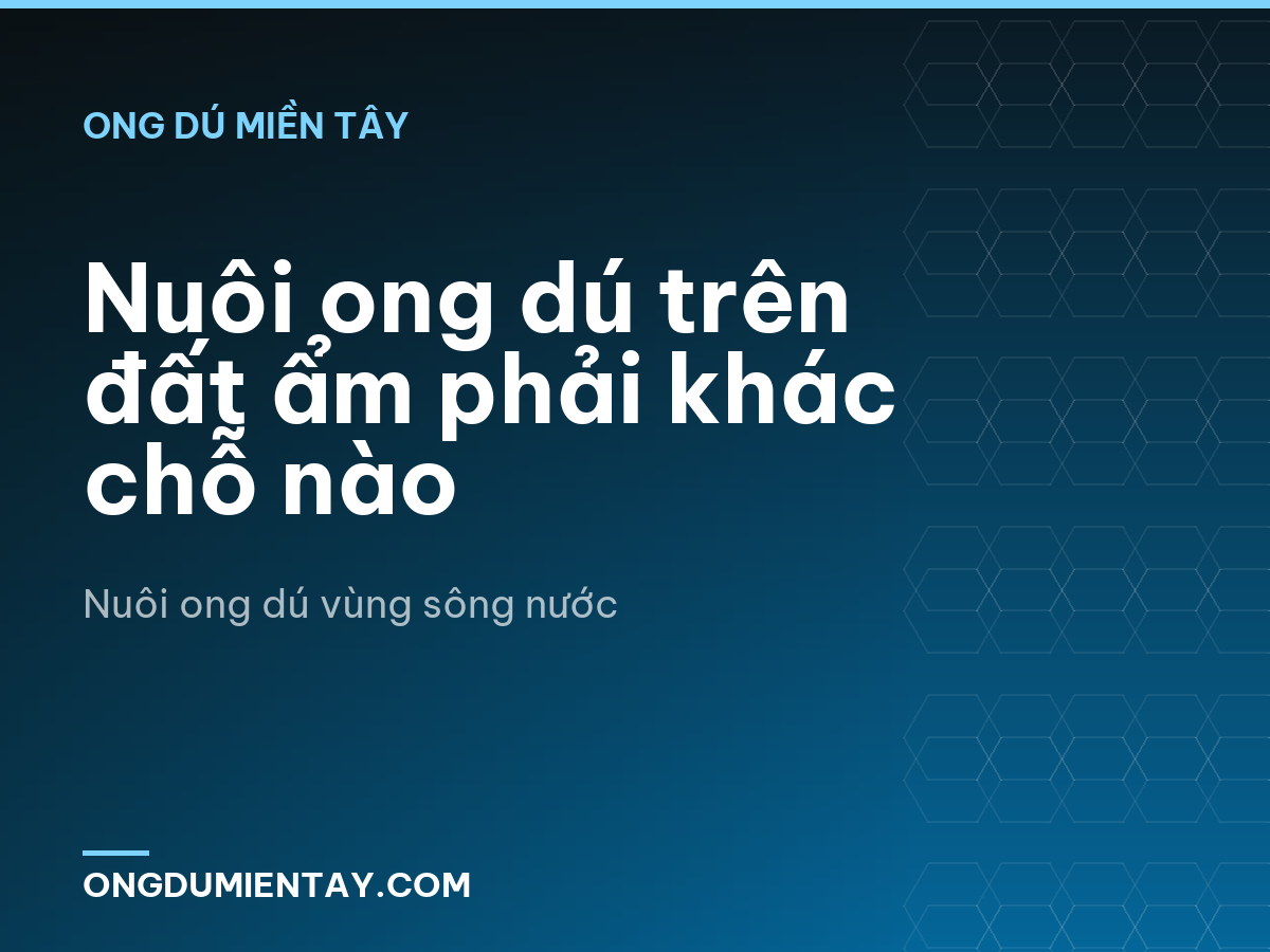 Nuôi ong dú trên đất ẩm phải khác chỗ nào