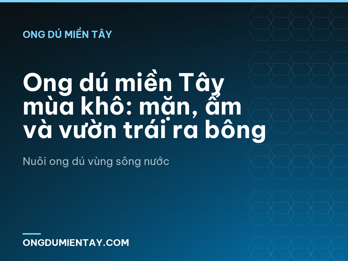 Ong dú miền Tây mùa khô: mặn, ẩm và vườn trái ra bông