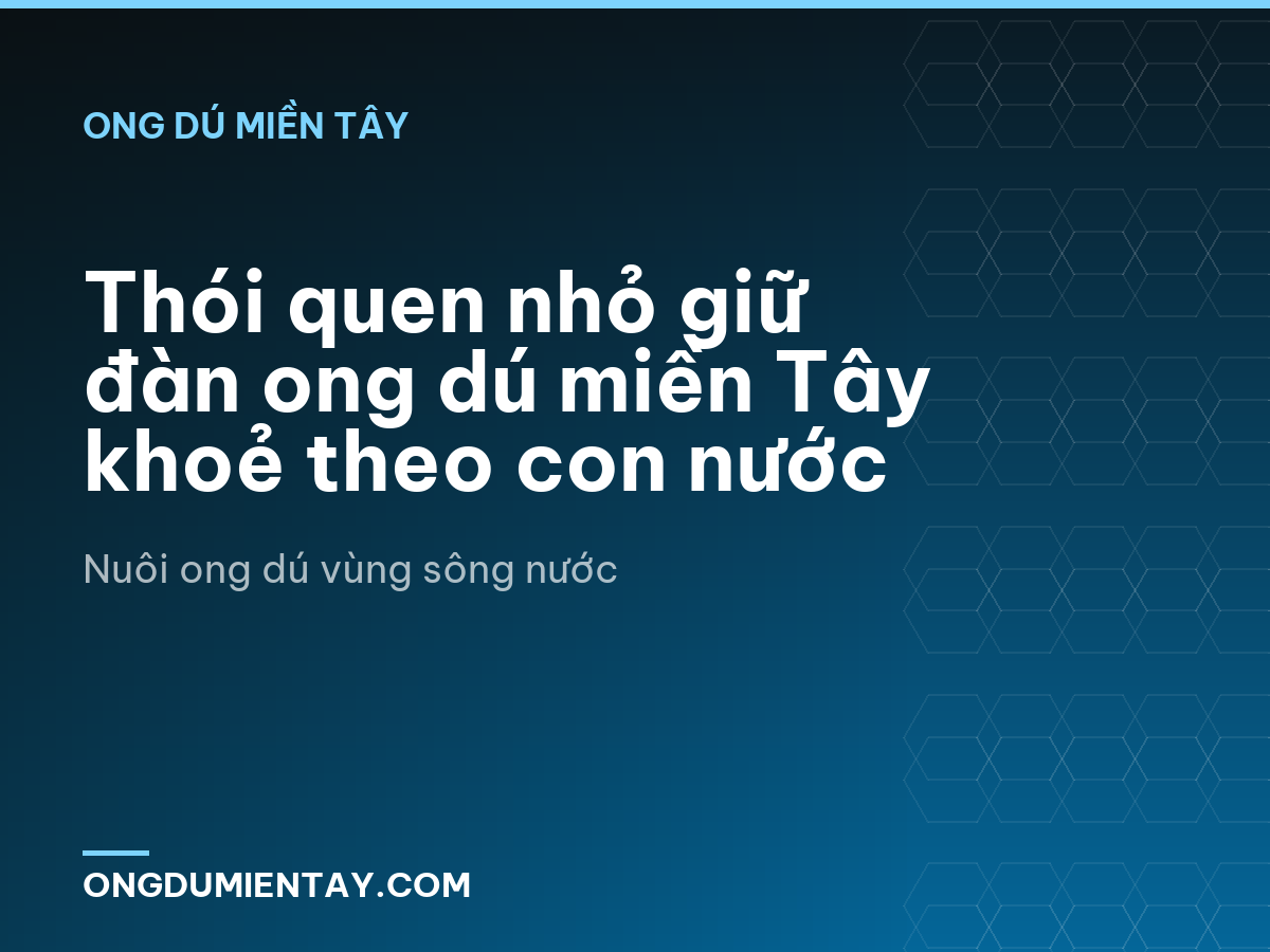 Thói quen nhỏ giữ đàn ong dú miền Tây khoẻ theo con nước