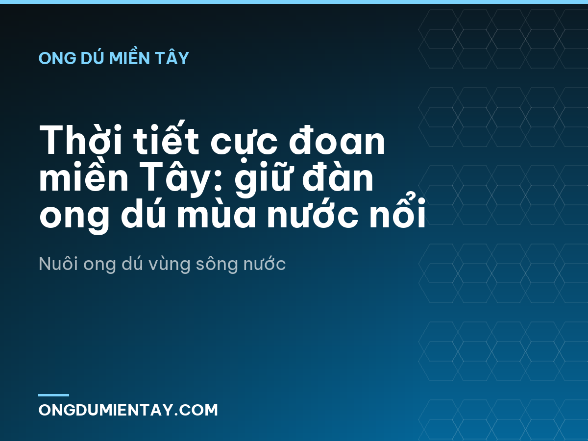 Thời tiết cực đoan miền Tây: giữ đàn ong dú mùa nước nổi