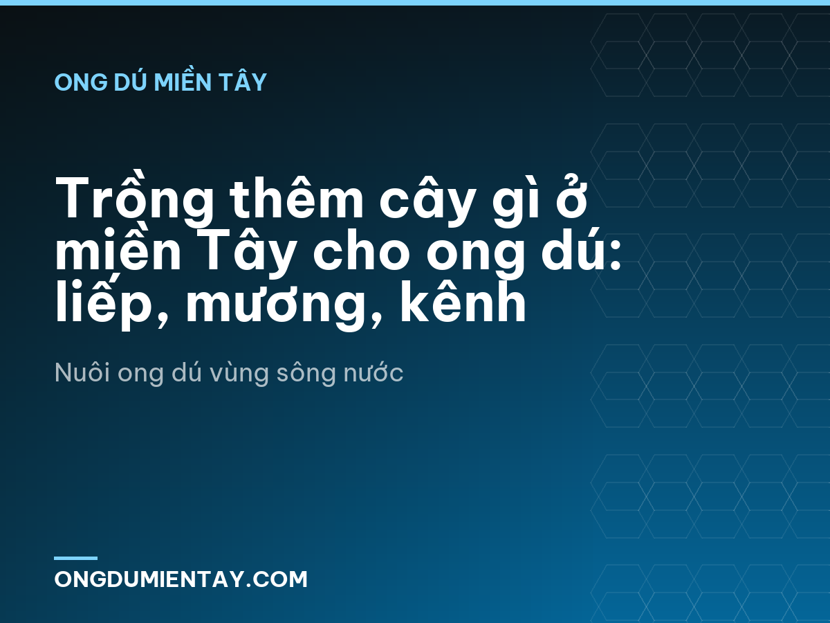 Trồng thêm cây gì ở miền Tây cho ong dú: liếp, mương, kênh