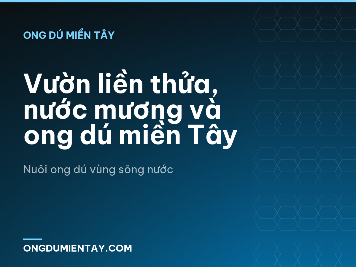 Vườn liền thửa, nước mương và ong dú miền Tây