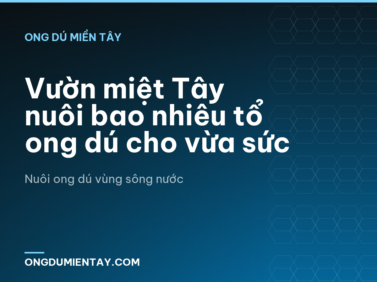 Vườn miệt Tây nuôi bao nhiêu tổ ong dú cho vừa sức