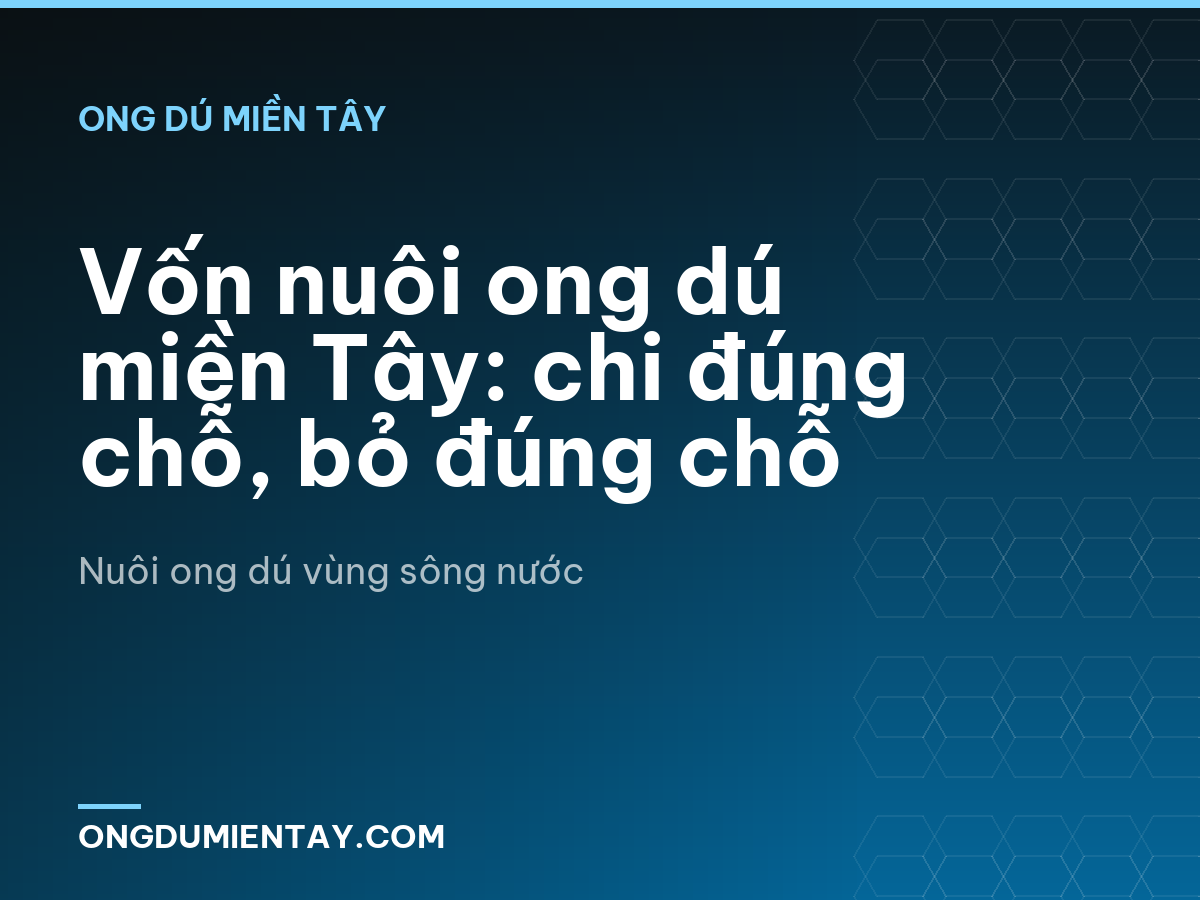 Vốn nuôi ong dú miền Tây: chi đúng chỗ, bỏ đúng chỗ
