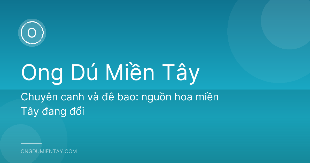 Chuyên canh và đê bao: nguồn hoa miền Tây đang đổi