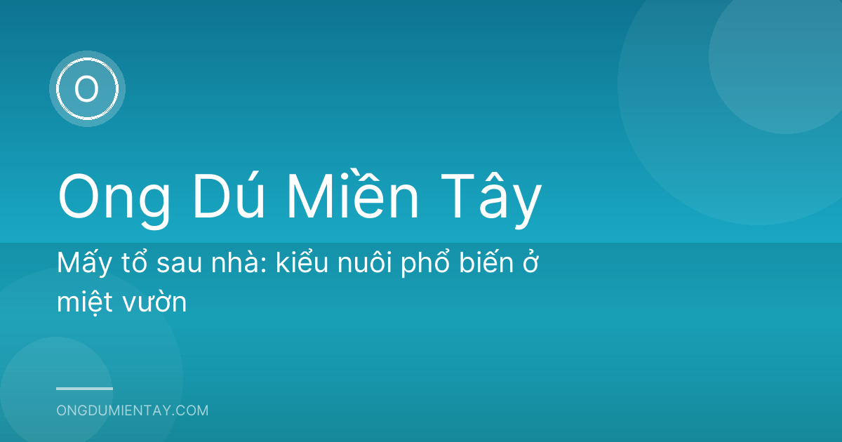 Mấy tổ sau nhà: kiểu nuôi phổ biến ở miệt vườn
