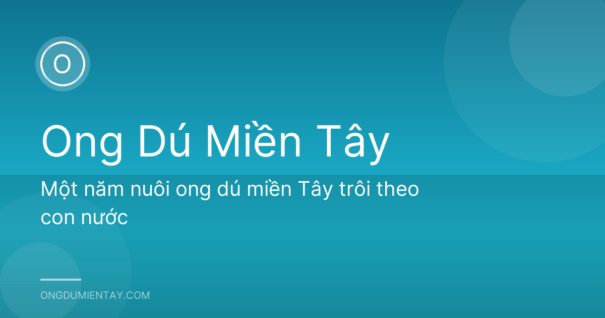 Một năm nuôi ong dú miền Tây trôi theo con nước