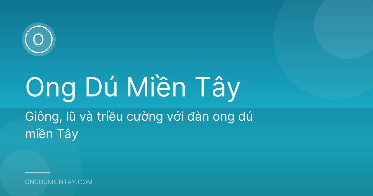 Giông, lũ và triều cường với đàn ong dú miền Tây