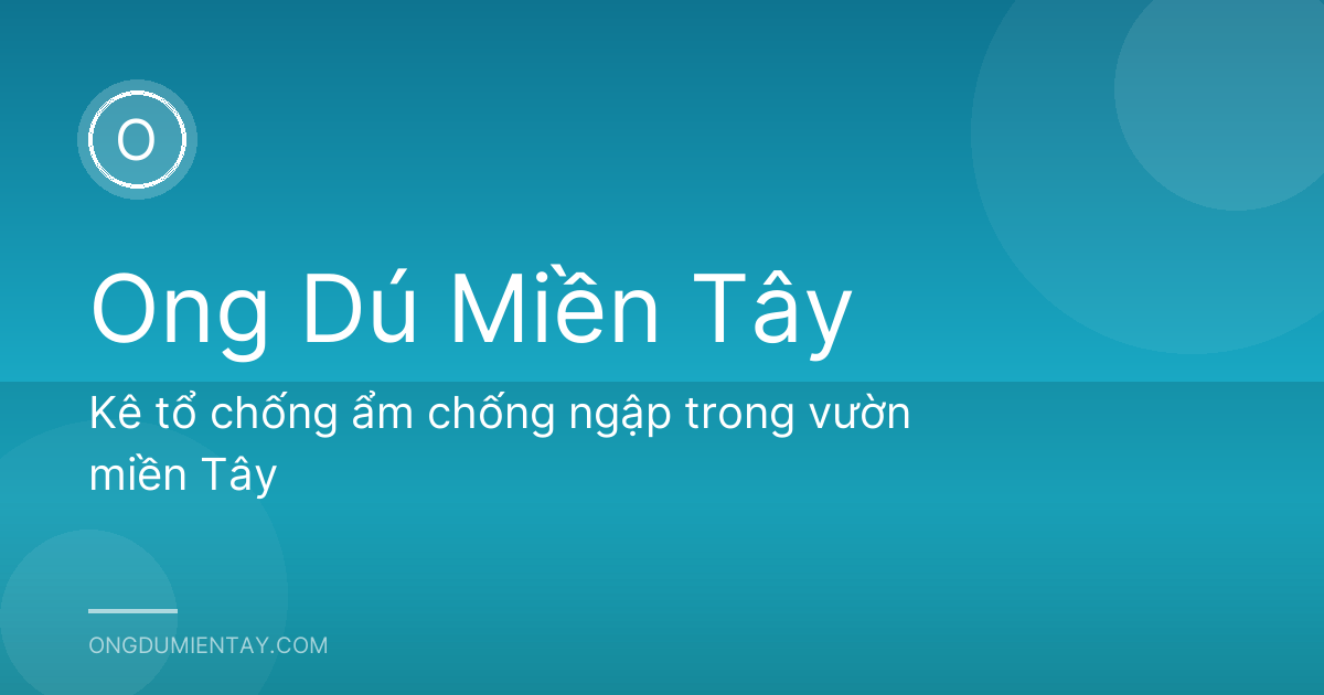 Kê tổ chống ẩm chống ngập trong vườn miền Tây
