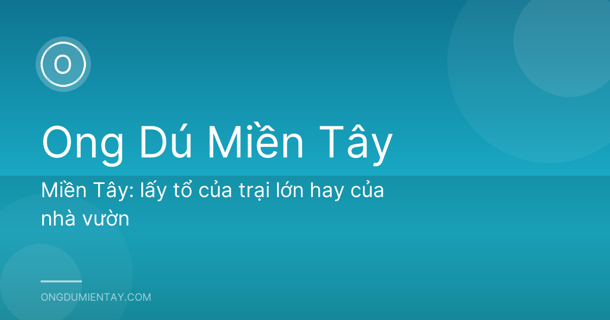 Miền Tây: lấy tổ của trại lớn hay của nhà vườn