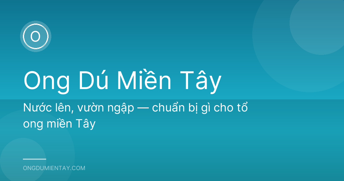 Nước lên, vườn ngập — chuẩn bị gì cho tổ ong miền Tây