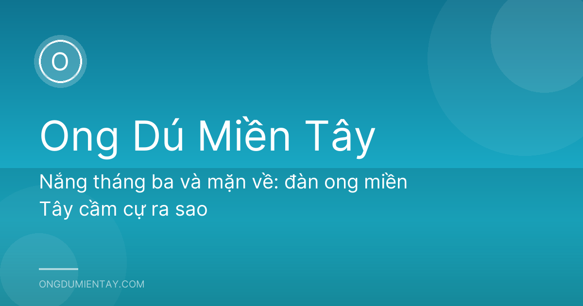 Nắng tháng ba và mặn về: đàn ong miền Tây cầm cự ra sao