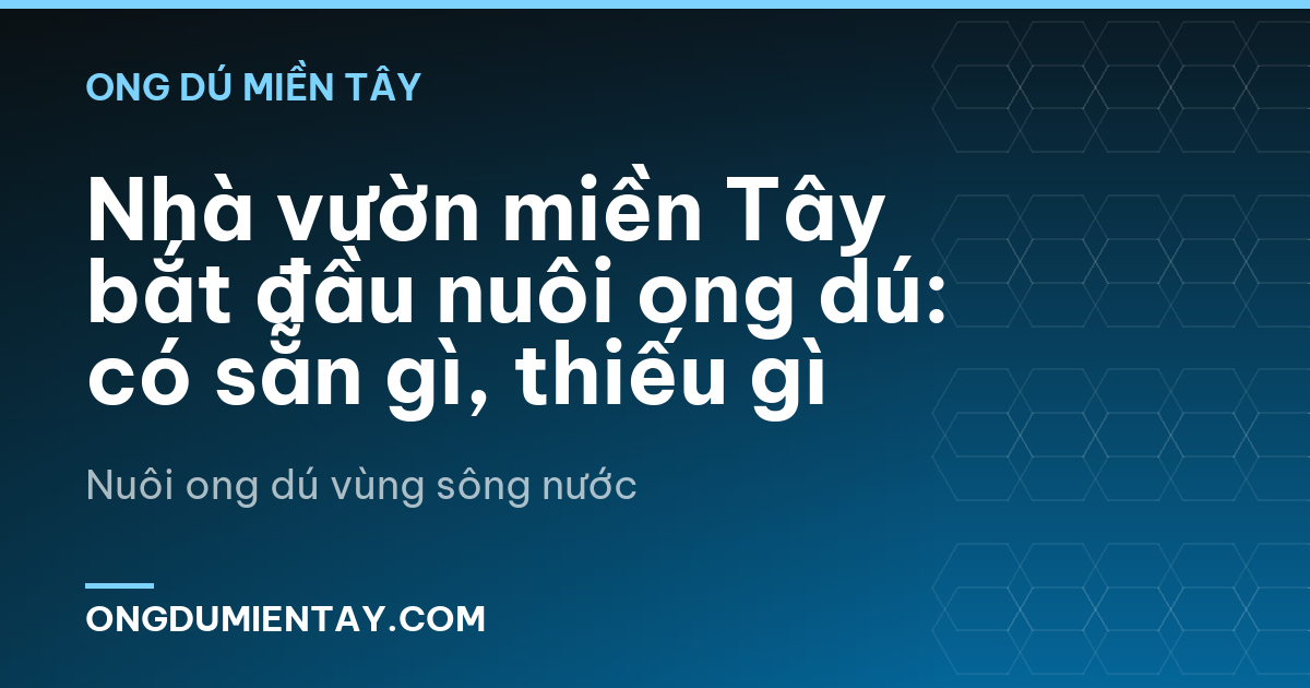 Nhà vườn miền Tây bắt đầu nuôi ong dú: có sẵn gì, thiếu gì