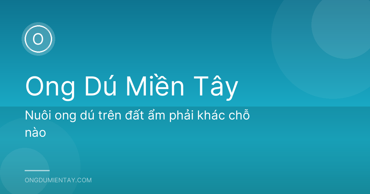 Nuôi ong dú trên đất ẩm phải khác chỗ nào